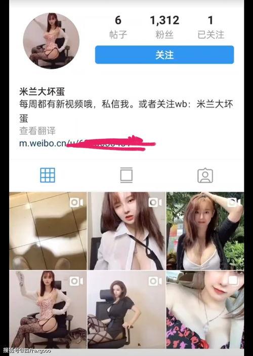 信宜小艺爆料案件最新,揭秘背后惊人真相 第2张 信宜小艺爆料案件最新,揭秘背后惊人真相 第2张